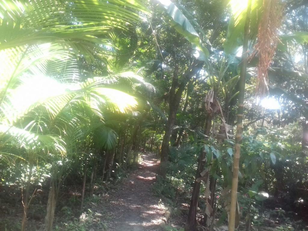 Recanto Da Kaka Ilha do Mel Kültér fotó